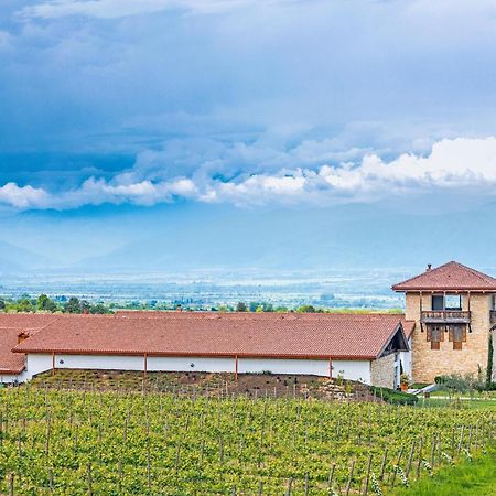 Chateau Mosmieri Hotel & Winery เทลาวี ภายนอก รูปภาพ