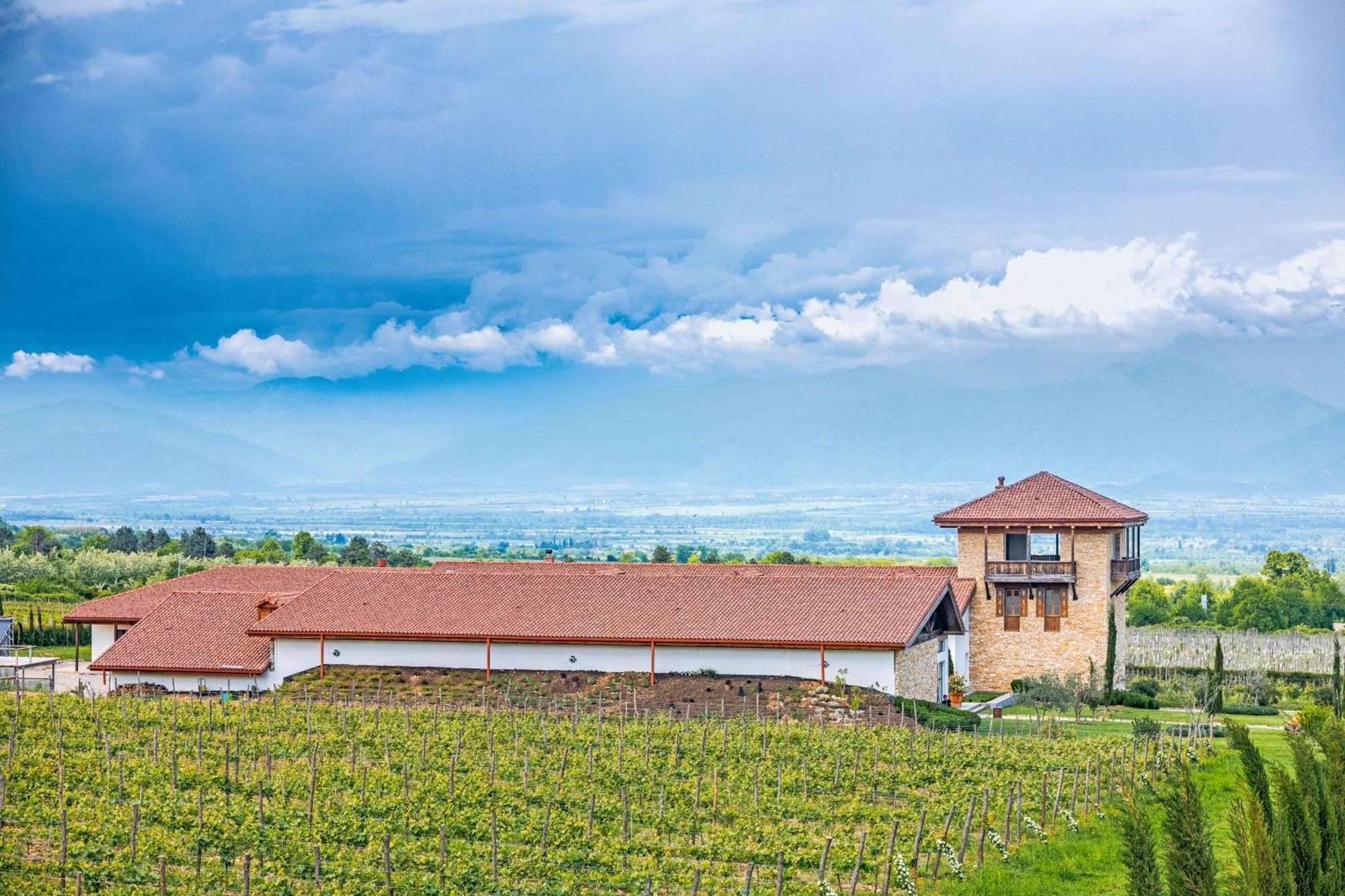 Chateau Mosmieri Hotel & Winery เทลาวี ภายนอก รูปภาพ