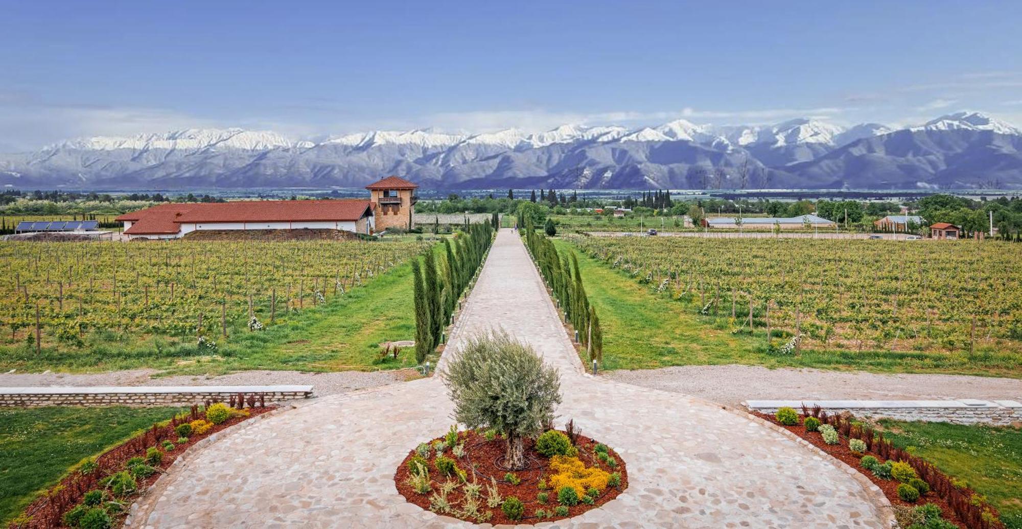 Chateau Mosmieri Hotel & Winery เทลาวี ภายนอก รูปภาพ