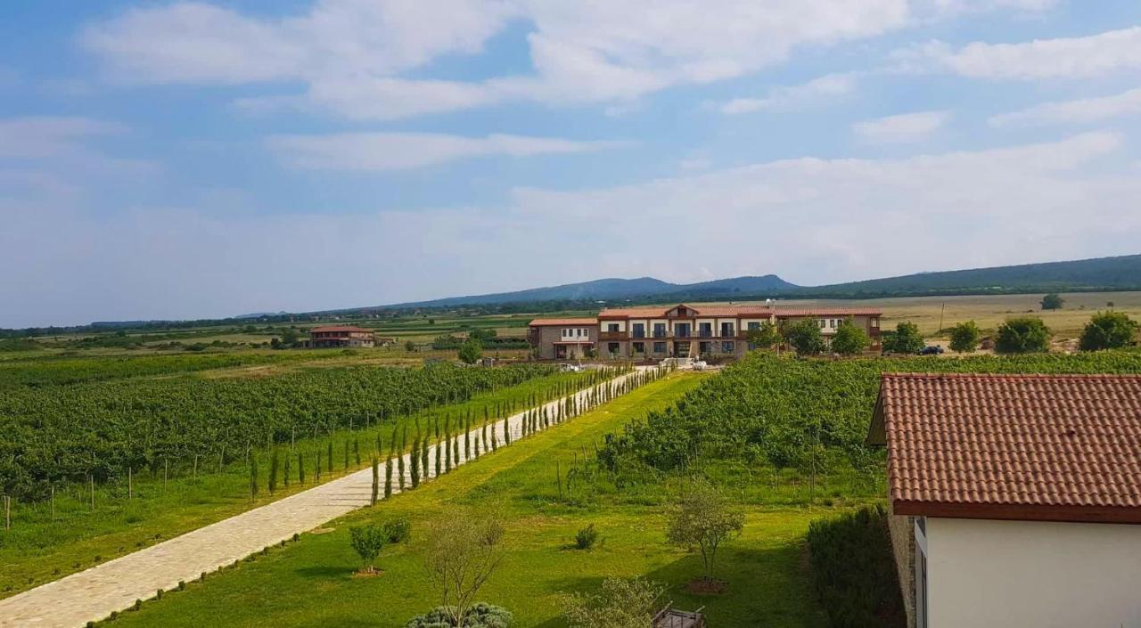 Chateau Mosmieri Hotel & Winery เทลาวี ภายนอก รูปภาพ