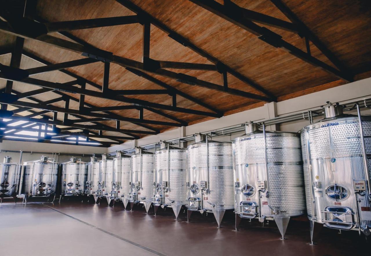 Chateau Mosmieri Hotel & Winery เทลาวี ภายนอก รูปภาพ